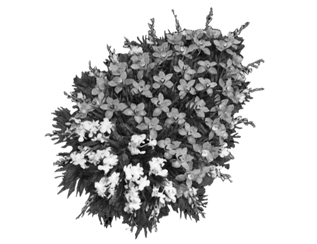 coroane funerare anthony